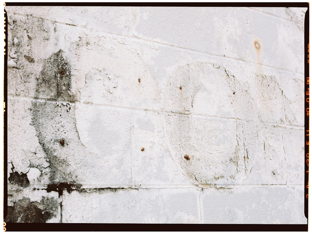 Storm Damage Repair service in Rochester, NY