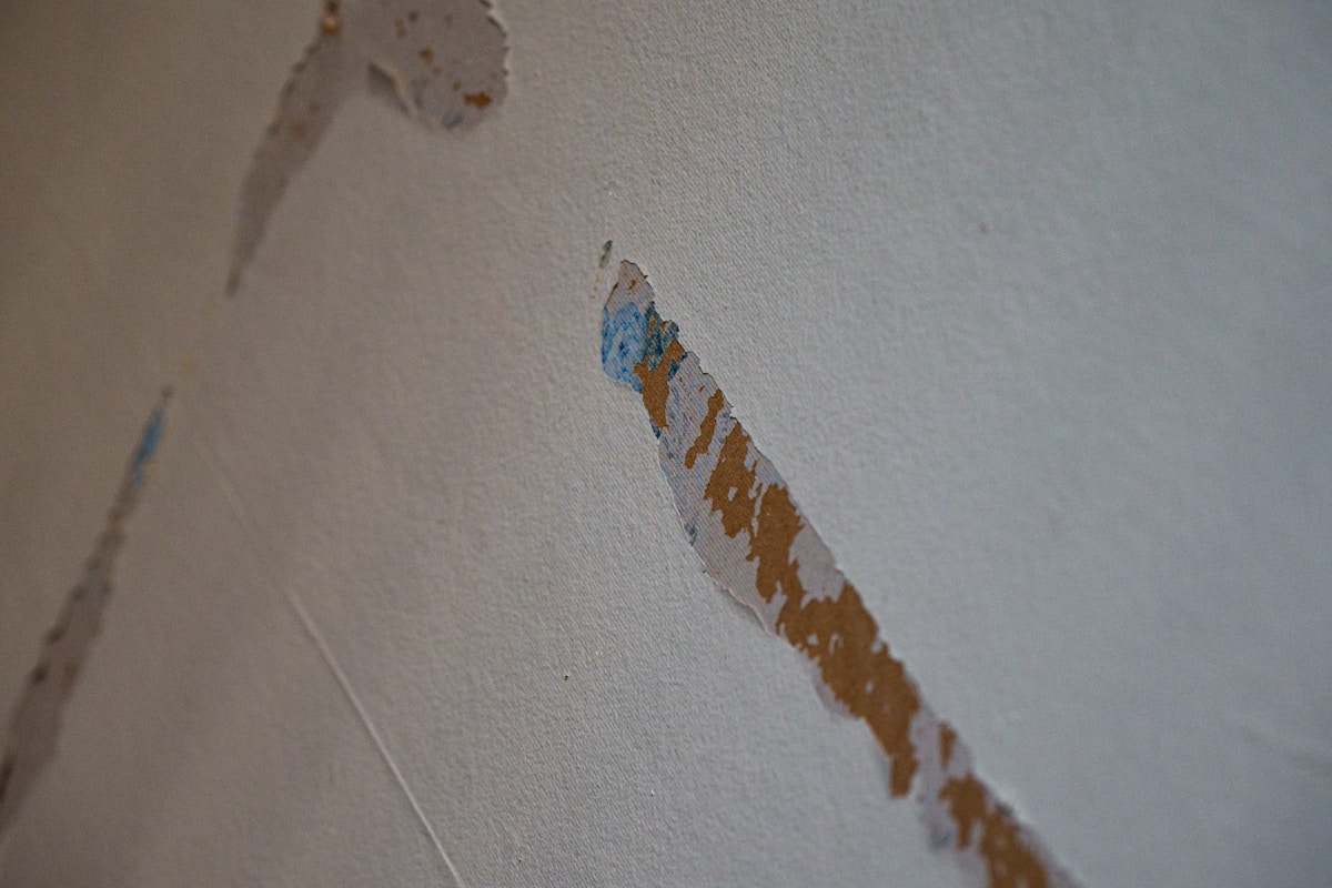 Flood Cleanup service in Rochester, NY